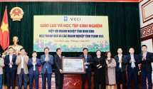 Tăng cường giao lưu, kết nối doanh nghiệp 2 tỉnh Thanh Hóa - Ninh Bình