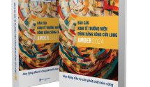 VCCI ĐBSCL CÔNG BỐ BÁO CÁO KINH TẾ THƯỜNG NIÊN ĐBSCL NĂM 2024