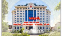 Ngành Thuế tăng tốc triển khai chiến dịch “làm sạch mã số thuế”